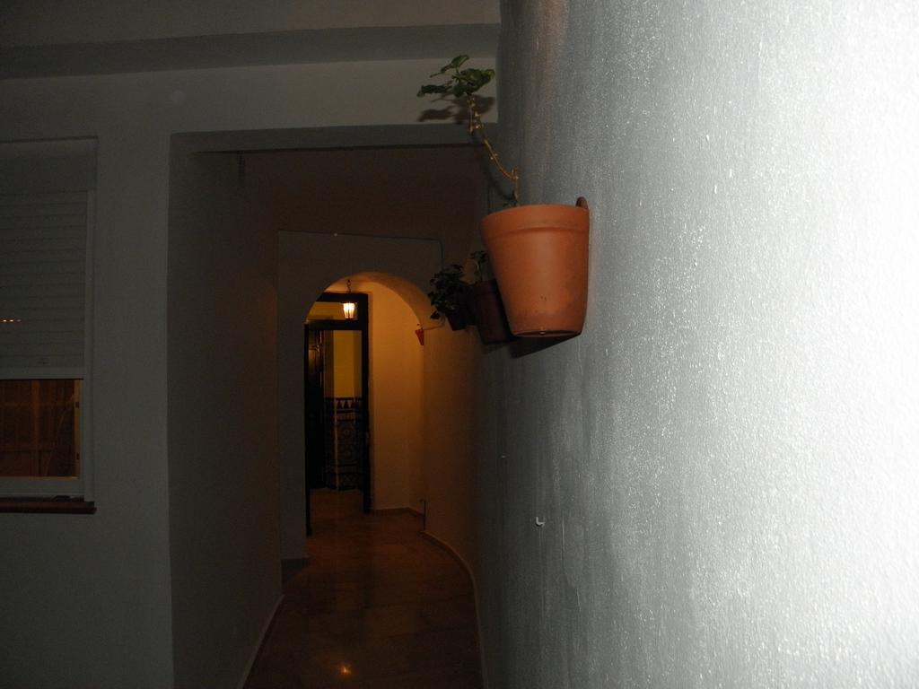 Apartamentos Porvera Jerez Jerez de la Frontera Dış mekan fotoğraf